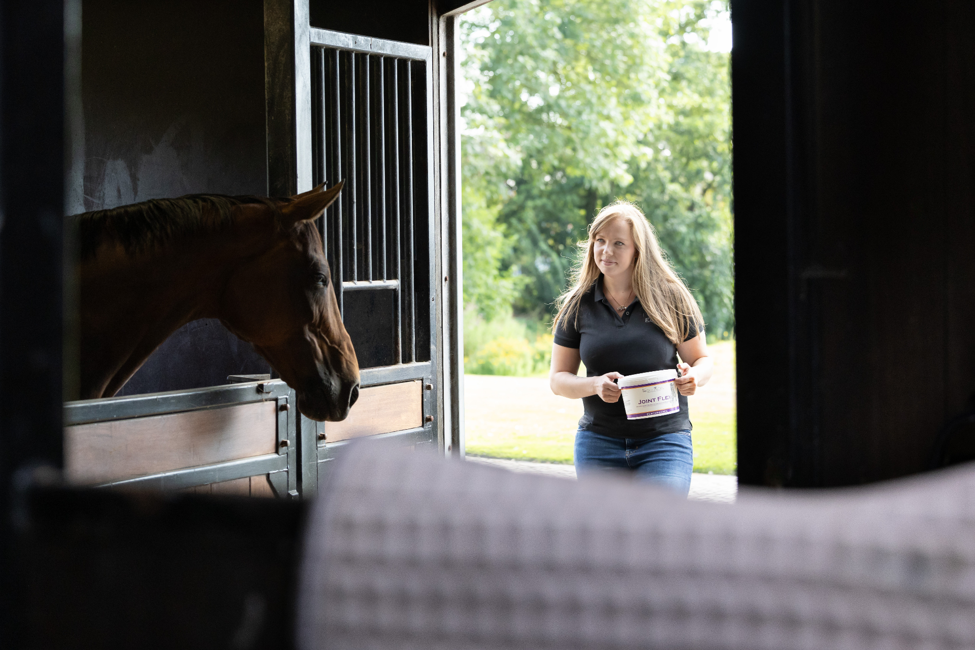 Paardenportret